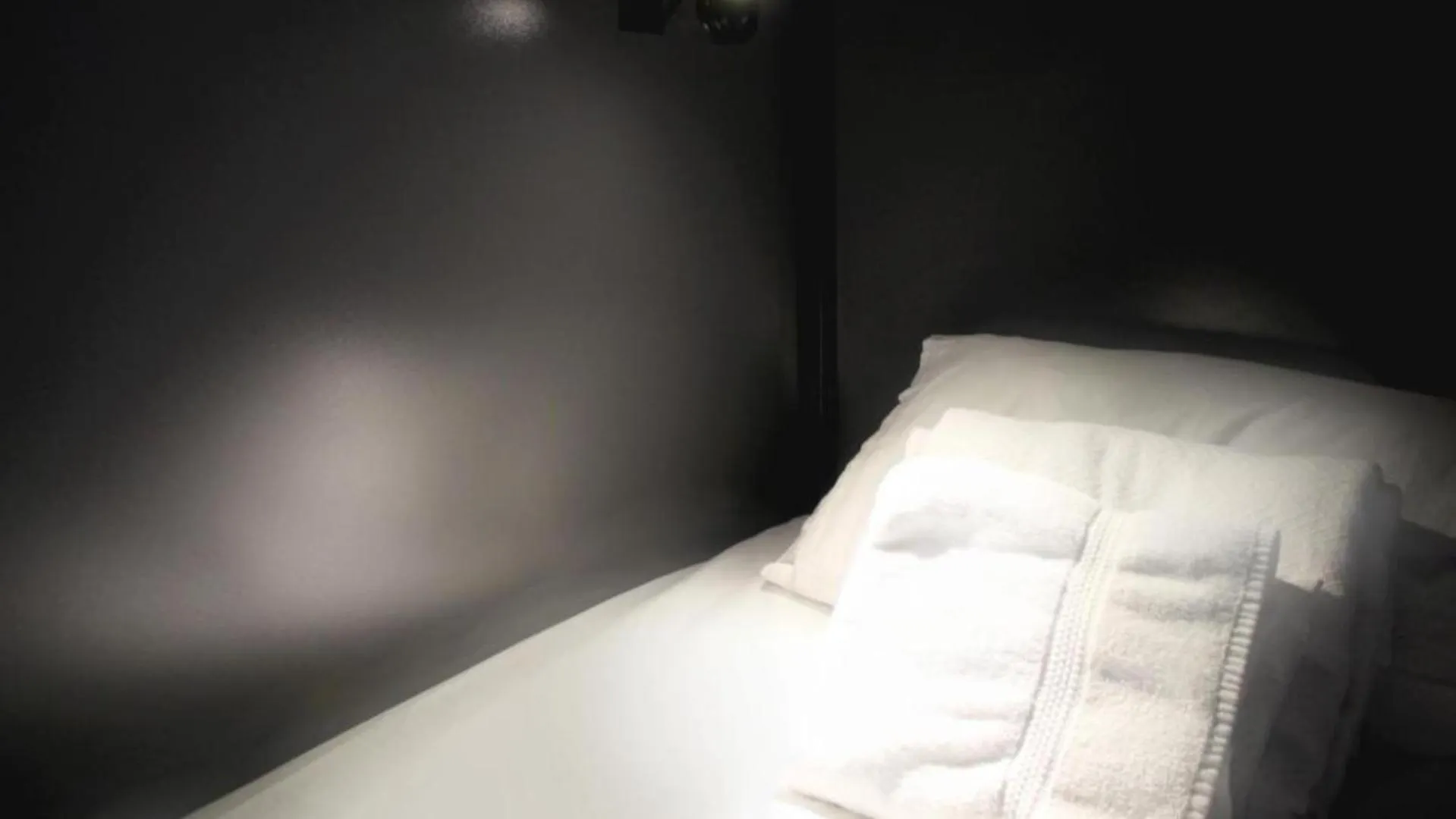 Hostel Nap York Express At Lic Manhattan View